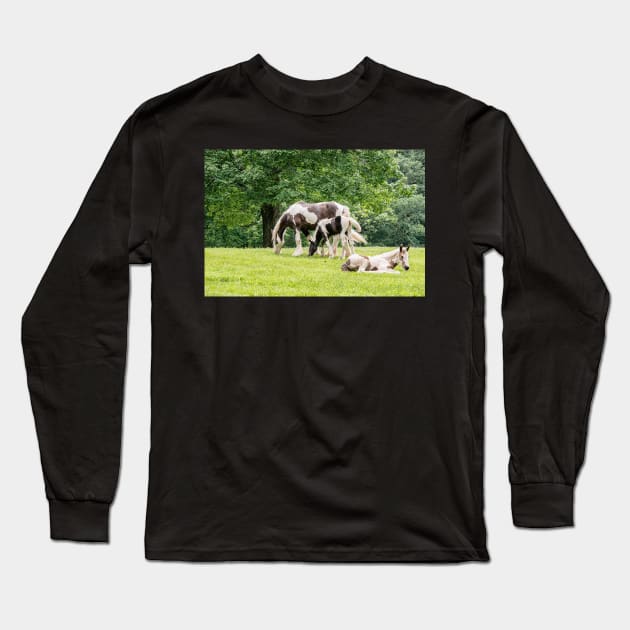 Lazy Grazing Horses Long Sleeve T-Shirt by StacyWhite